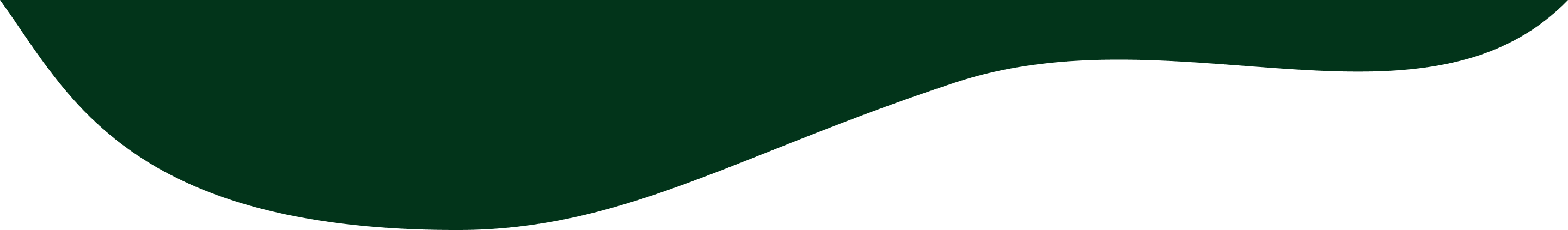 About us hero section ending curve